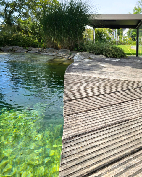 frühsommer-1.jpg